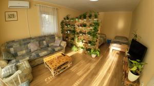 马里博尔Sweet Home Apartment的客厅配有沙发和植物架子