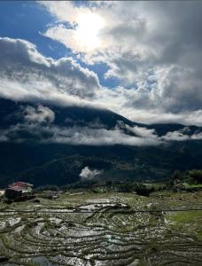 萨帕Hmong Wooden Home的云天风景区