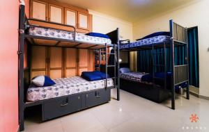 迈索尔Zostel Mysore的配有2张双层床的蓝色客房