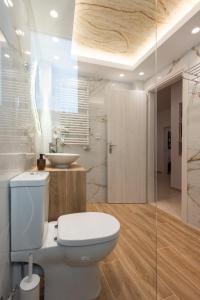 雅典Blue Ark Acropolis Compass的一间带卫生间和水槽的浴室