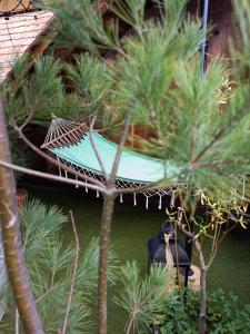 Ivančna GoricaHiša Ida的棕榈树花园内的吊床