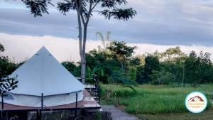 考科Phurubmok khaokho的绿地中的白色帐篷,有树