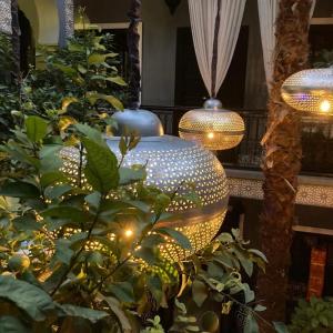 马拉喀什Riad des Mile Nuits的一间有灯和花瓶的植物的房间
