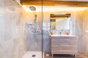 圣克鲁斯-德特内里费Finca Rural Triana的带淋浴、水槽和镜子的浴室