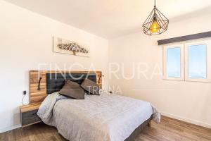 圣克鲁斯-德特内里费Finca Rural Triana的一间卧室设有一张床和一个窗口