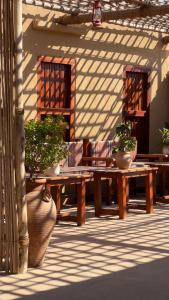 里瓦Liwa Nights ليالي ليوا的庭院设有2张木桌和盆栽植物