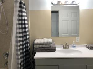 迈尔斯堡Star Apartments的一间带水槽和淋浴的浴室