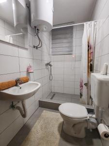 特拉夫尼克Apartments Planinski raj的浴室配有卫生间、盥洗盆和淋浴。