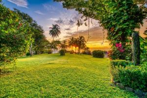蒙特苏马艾莫德玛尔酒店的棕榈树和草地公园