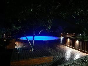 VilliersdorpValley View Eco Country Estate - Paradise in the Winelands的夜晚在蓝色泳池里种着一棵树