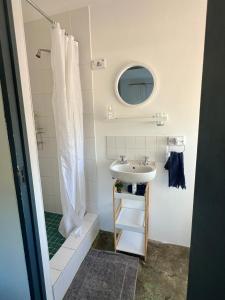 MalgasRiverdance Cottage的一间带水槽和淋浴的浴室