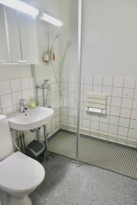 里希迈基Havi Apartment的一间带卫生间和水槽的浴室