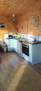 KircubbinHorse Island View Luxury Retreat的一间厨房,配有白色家电和木墙