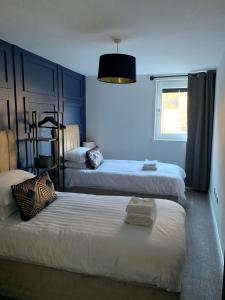 奥本Hillview的一间卧室设有两张带蓝色墙壁和窗户的床。