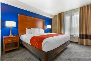 雷丁雷丁沙斯塔湖康福特套房酒店的一间卧室设有一张蓝色墙壁的大床