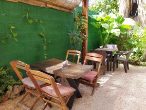 巴卡拉尔Hakuna Matata Glamping的一组桌子和椅子,旁边是绿色的墙壁