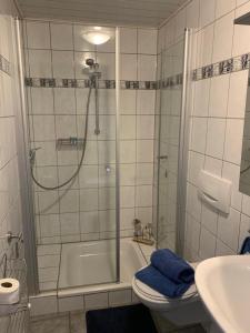 Osann-MonzelHanne's Gästestudio的带淋浴、卫生间和盥洗盆的浴室