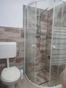 巴亚马雷Apartament Karina的一间带卫生间和玻璃淋浴间的浴室
