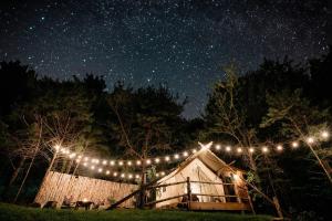 布兰森The Original Campsite on 53 acres, Branson, MO的夜晚有一串灯的帐篷