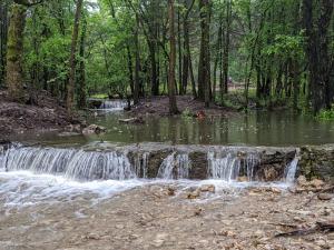 布兰森The Original Campsite on 53 acres, Branson, MO的森林中间的小瀑布