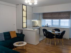 VişanCasa Boes 41的带沙发和桌子的客厅以及厨房。