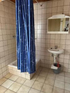 ReichendorfFeriendorf Kimbucht的浴室设有蓝色的浴帘和水槽