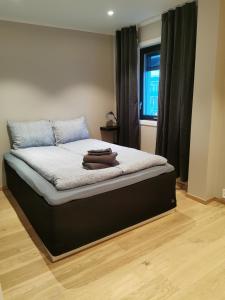 斯沃尔韦尔Svolvær city center apartment的一间卧室配有一张黑色床架和窗户