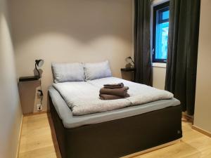 斯沃尔韦尔Svolvær city center apartment的床上有两块棕色毛巾