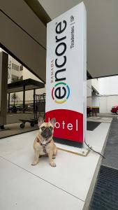 圣保罗Ramada Encore Sao Paulo Tiradentes Centro的一只小狗坐在标志前