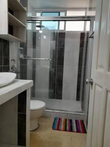 巴拿马城R-8 Amplio apartamento en zona turística.的带淋浴、卫生间和盥洗盆的浴室