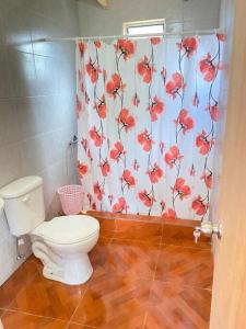 拉戈朗科Casa de campo的一间带卫生间和淋浴帘的浴室