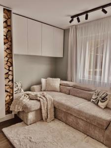 上维谢乌In Maramu’ la Mocanita!的客厅设有棕色的沙发和窗户。