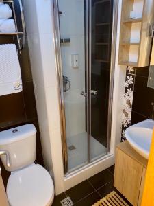 科帕奥尼克NevSki Apartments的带淋浴、卫生间和盥洗盆的浴室