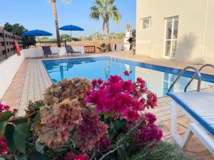 阿依纳帕Sunset Pearl Holiday Villa的一座鲜花盛开的游泳池