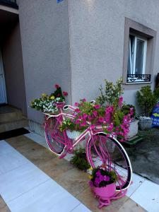 采蒂涅Apartments Aleksandra Cetinje的停在鲜花建筑前面的粉红色自行车