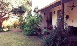 Villa del TotoralHotel Posada El Recodo的前面有植物的房子