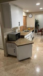 里亚托Private Room的厨房配有水槽和台面上的微波炉