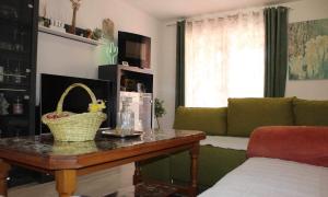 科雷尼察Relax Home ®Rajna®的客厅配有桌子和绿色沙发
