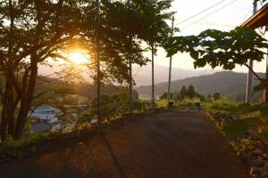 与谢野町Kaya Yamanoie的一条阳光照耀着树木的道路