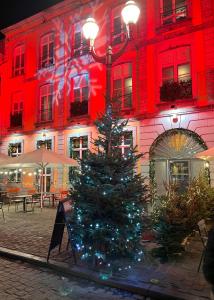 蒙斯Le Vieux Cèdre Grand Place的红灯前的圣诞树