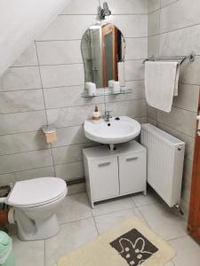 CiumaniEmília vendégház的一间带水槽、卫生间和镜子的浴室