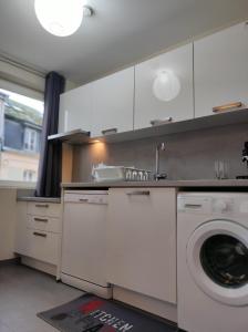 泰昂维Le LUX 31的厨房配有洗衣机和水槽