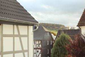 格拉登巴赫Im Fachwerk – Wohlfühlen, Entspannen & Wandern im Grünen的从屋顶房子的一侧欣赏美景