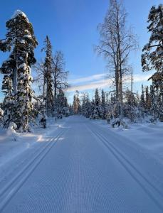 洛斯托Villa Karhunkehto的一条有树木覆盖的雪覆盖的道路