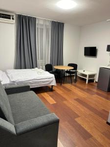 乌日霍罗德Modern Apartments Uzhgorod的配有一张床和一张桌子及椅子的房间