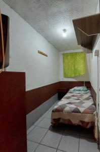 阿里卡Hostal Venecia的一间卧室设有一张床和一个绿色的窗户
