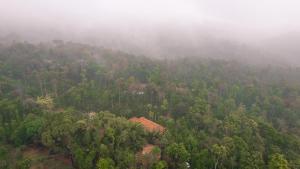 马迪凯里KINGMAKER'S Plantation with River Stream的树木林的空中景观,房屋