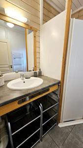 玛根塞尔Le Chalet Du Redon的一间带水槽和镜子的浴室