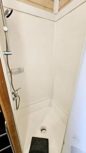 玛根塞尔Le Chalet Du Redon的带淋浴和绿色卫生间的浴室