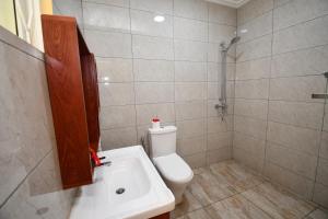 安塞奥潘礁石假日公寓的浴室配有卫生间、盥洗盆和淋浴。